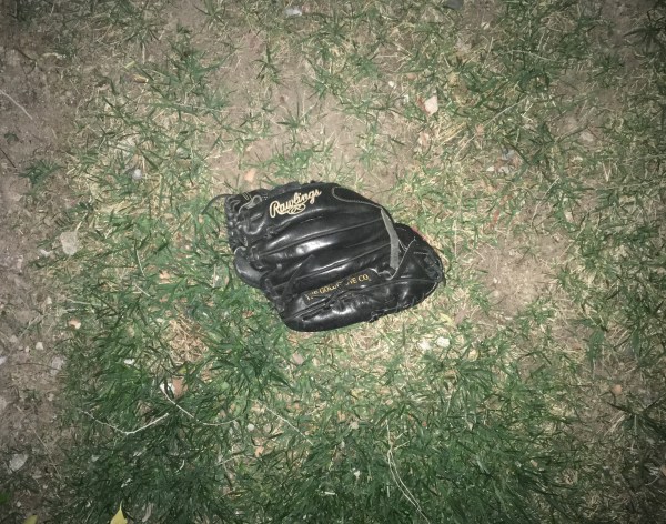 Baseball Mitt, Spring 2020.jpeg